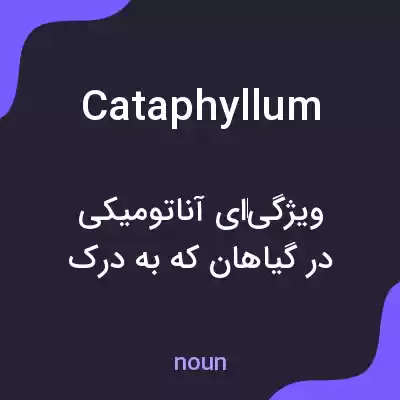 معنی cataphyllum به فارسی معنی cataphyllum به فارسی