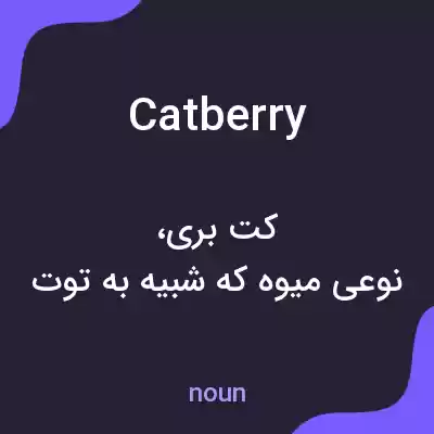 معنی catberry به فارسی