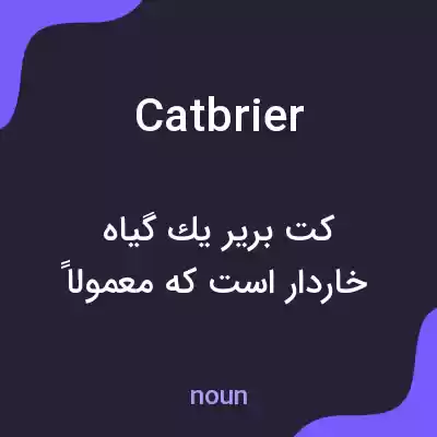 معنی catbrier به فارسی معنی catbrier به فارسی