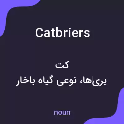 معنی catbriers به فارسی معنی catbriers به فارسی