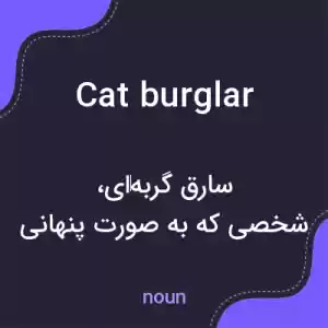 معنی cat burglar به فارسی