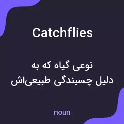 معنی catchflies به فارسی معنی catchflies به فارسی