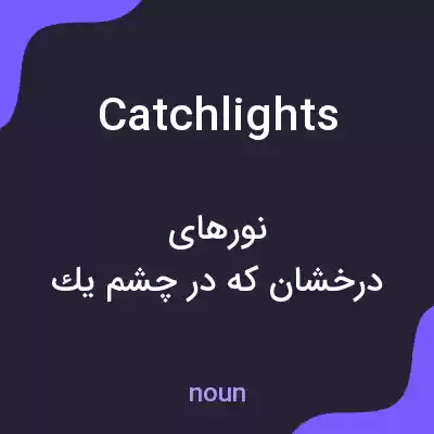 معنی catchlights به فارسی معنی catchlights به فارسی