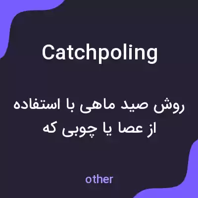 معنی catchpoling به فارسی معنی catchpoling به فارسی
