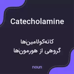 معنی catecholamine به فارسی معنی catecholamine به فارسی