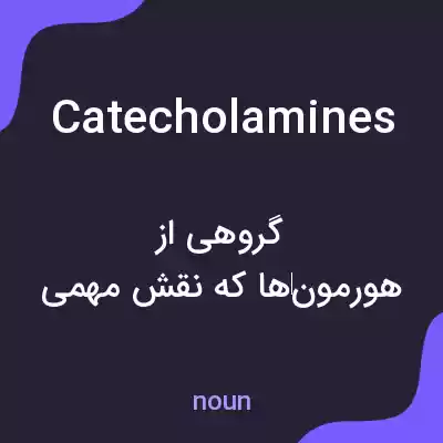 معنی catecholamines به فارسی معنی catecholamines به فارسی