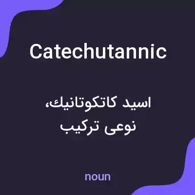 معنی catechutannic به فارسی معنی catechutannic به فارسی
