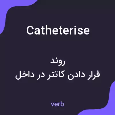 معنی catheterise به فارسی معنی catheterise به فارسی