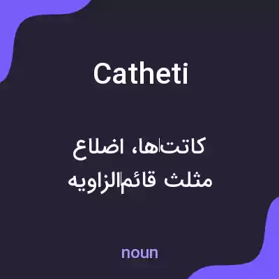 معنی catheti به فارسی معنی catheti به فارسی