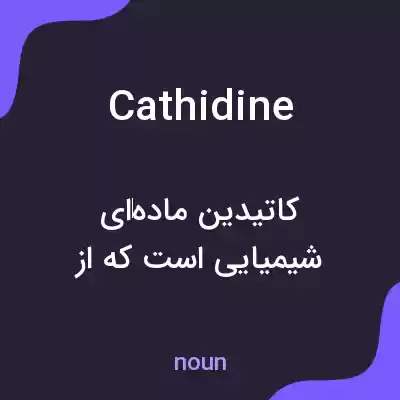 معنی cathidine به فارسی معنی cathidine به فارسی
