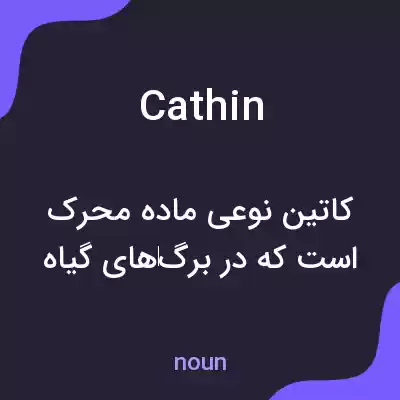 معنی cathin به فارسی معنی cathin به فارسی