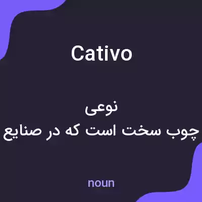 معنی cativo به فارسی معنی cativo به فارسی