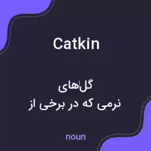 معنی catkin به فارسی معنی catkin به فارسی