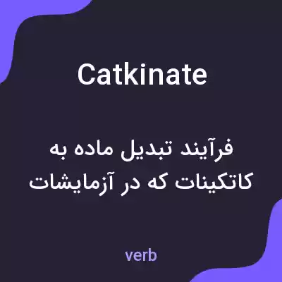 معنی catkinate به فارسی معنی catkinate به فارسی