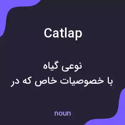 معنی catlap به فارسی معنی catlap به فارسی
