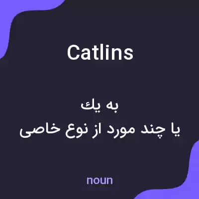 معنی catlins به فارسی معنی catlins به فارسی