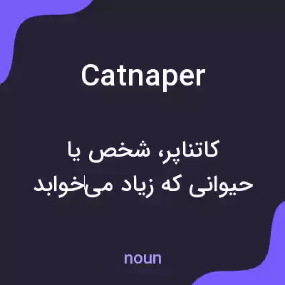 معنی catnaper به فارسی معنی catnaper به فارسی