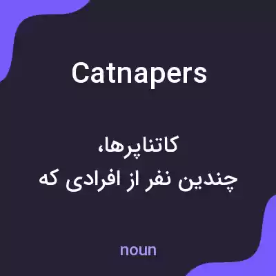 معنی catnapers به فارسی معنی catnapers به فارسی