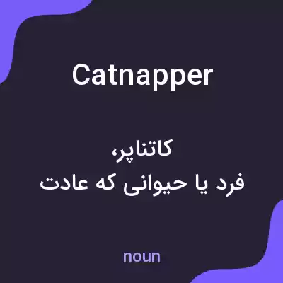 معنی catnapper به فارسی معنی catnapper به فارسی