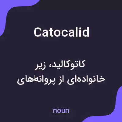 معنی catocalid به فارسی معنی catocalid به فارسی