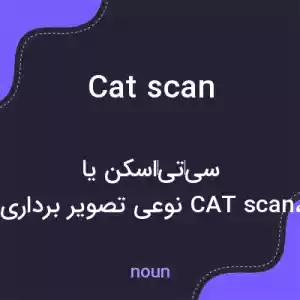 معنی cat scan به فارسی معنی cat scan به فارسی