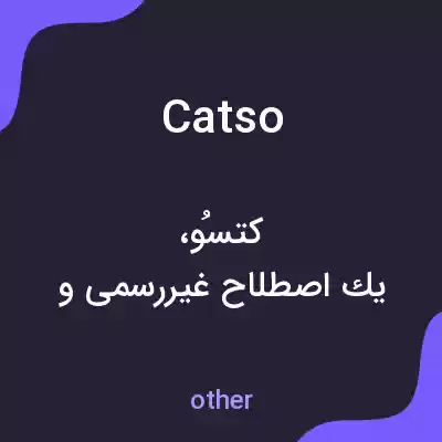 معنی catso به فارسی معنی catso به فارسی