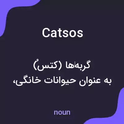 معنی catsos به فارسی معنی catsos به فارسی