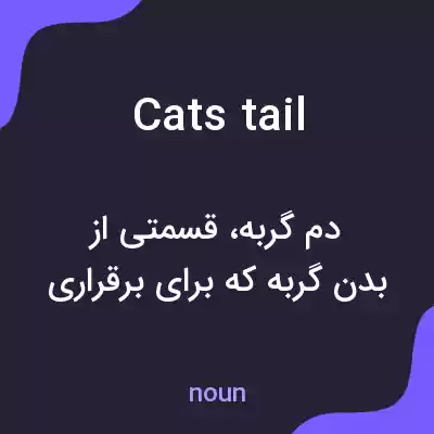معنی cats tail به فارسی معنی cats tail به فارسی