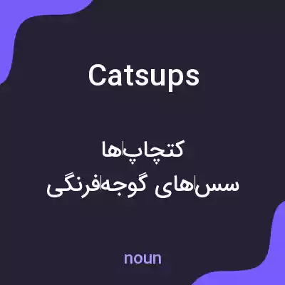 معنی catsups به فارسی معنی catsups به فارسی