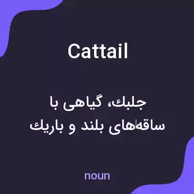 معنی cattail به فارسی معنی cattail به فارسی