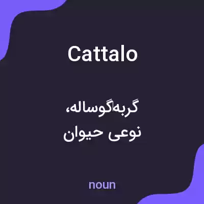 معنی cattalo به فارسی معنی cattalo به فارسی