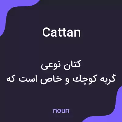 معنی cattan به فارسی معنی cattan به فارسی