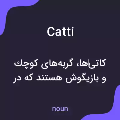 معنی catti به فارسی معنی catti به فارسی