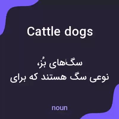 معنی cattle dogs به فارسی معنی cattle dogs به فارسی
