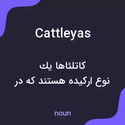 معنی cattleyas به فارسی معنی cattleyas به فارسی
