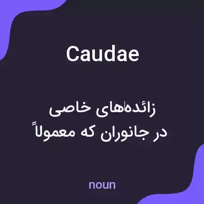 معنی caudae به فارسی معنی caudae به فارسی