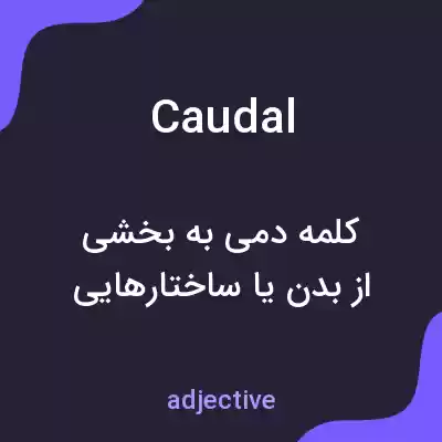 معنی caudal به فارسی معنی caudal به فارسی