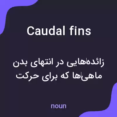 معنی caudal fins به فارسی معنی caudal fins به فارسی
