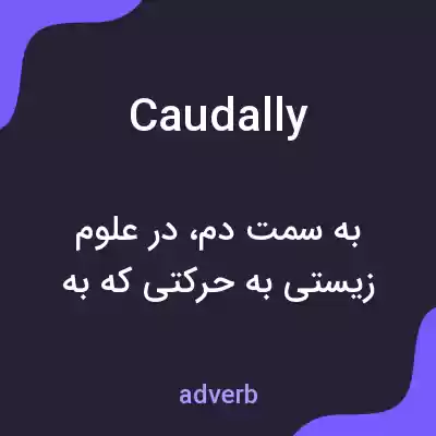معنی caudally به فارسی معنی caudally به فارسی