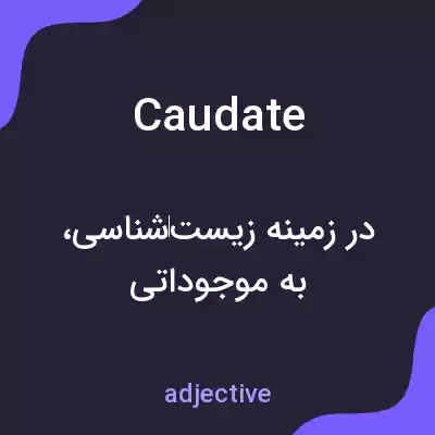 معنی caudate به فارسی معنی caudate به فارسی