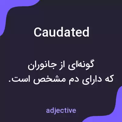 معنی caudated به فارسی معنی caudated به فارسی