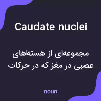 معنی caudate nuclei به فارسی معنی caudate nuclei به فارسی