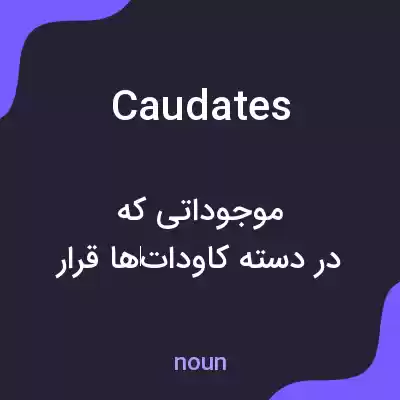 معنی caudates به فارسی معنی caudates به فارسی