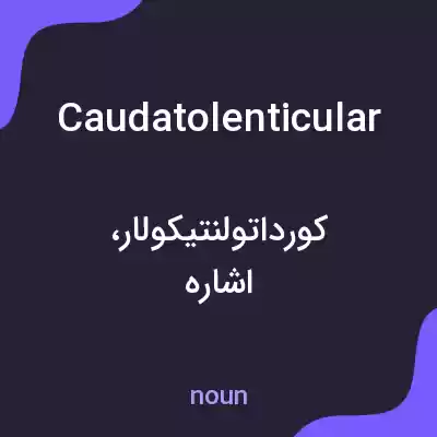 معنی caudatolenticular به فارسی معنی caudatolenticular به فارسی