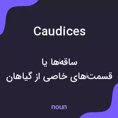معنی caudices به فارسی معنی caudices به فارسی