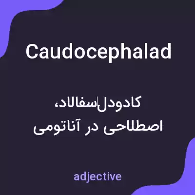 معنی caudocephalad به فارسی معنی caudocephalad به فارسی