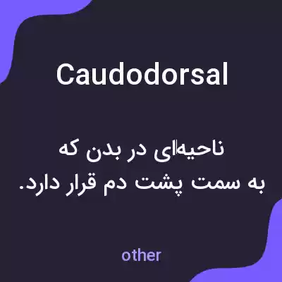 معنی caudodorsal به فارسی معنی caudodorsal به فارسی