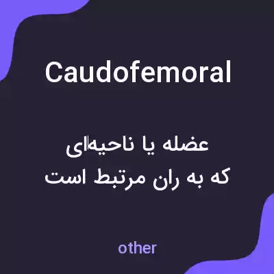 معنی caudofemoral به فارسی معنی caudofemoral به فارسی