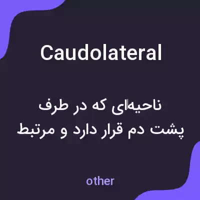 معنی caudolateral به فارسی معنی caudolateral به فارسی