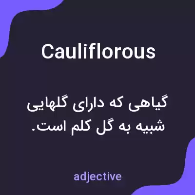معنی cauliflorous به فارسی معنی cauliflorous به فارسی